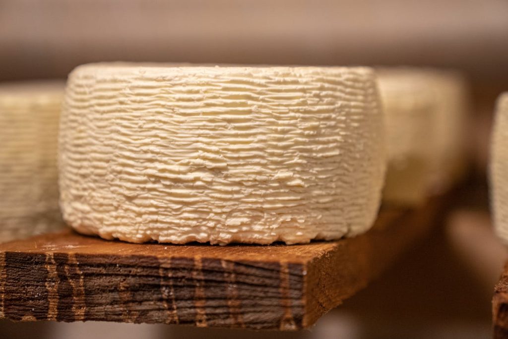 pexels photo 8287396 Detailed close-up of a textured cheese wheel maturing on a wooden shelf, highlighting its artisanal nature.