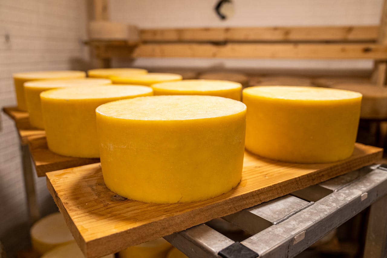 embark Aging cheese wheels in a rustic warehouse in North Carolina with natural wood shelving.
